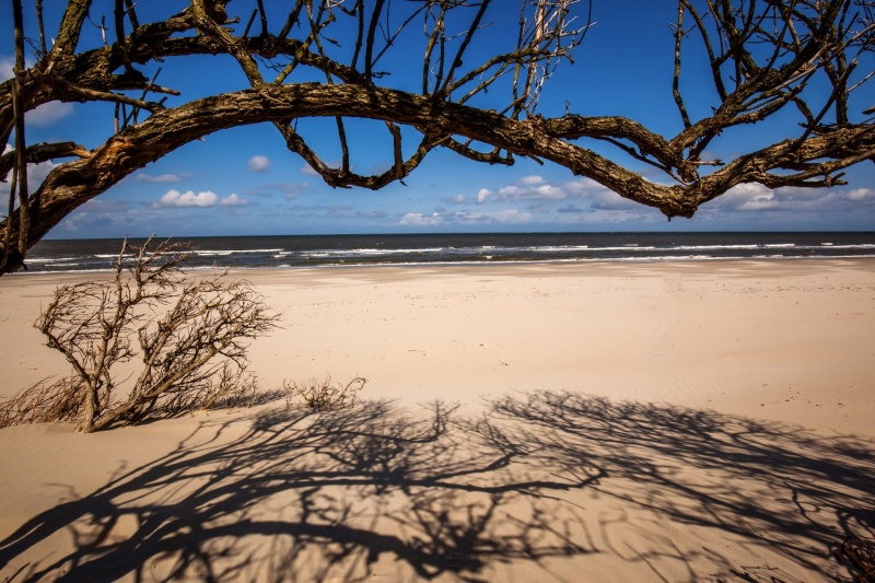 Borkum im Wechsel der Jahreszeiten